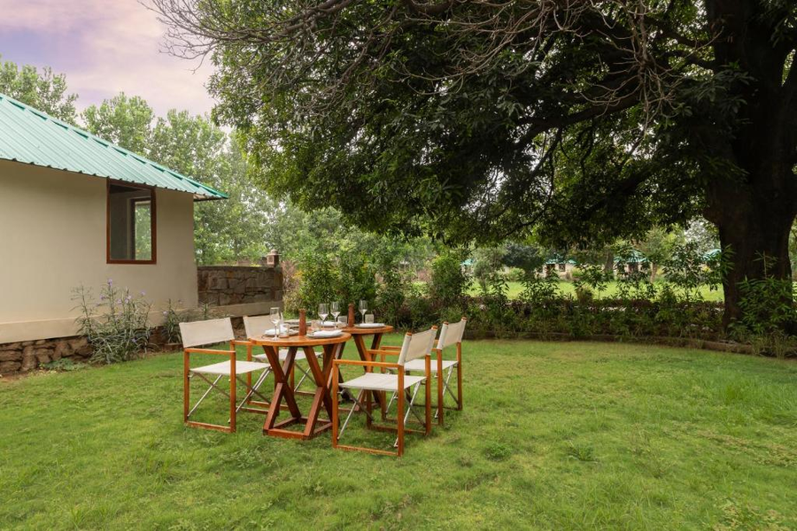 zana forest resort ranthambore