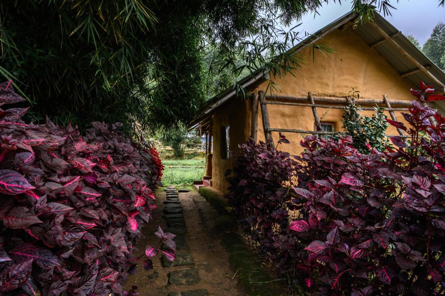 anandavana jungle living by lexstays kanthalloor marayur