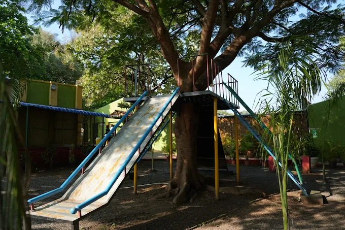 the whistling pine woods