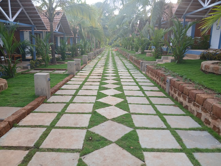 blu butterfly resort