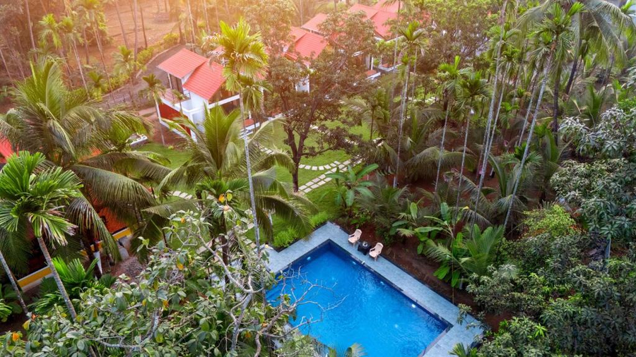 The Enchanted Nest, Luxurious Cottages Near Akshi Beach,Near Akshi Beach,3 star