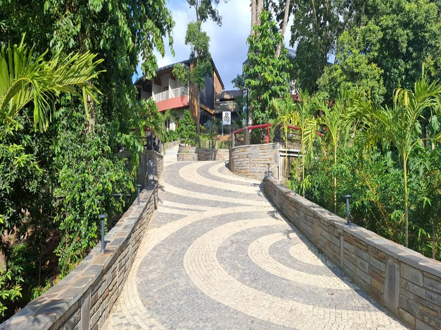kaziranga