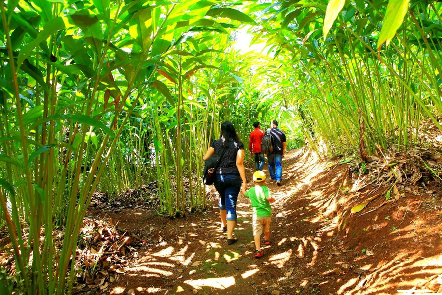 Reen Resorts Aanavilasam Plantation,Pathumury,4 star