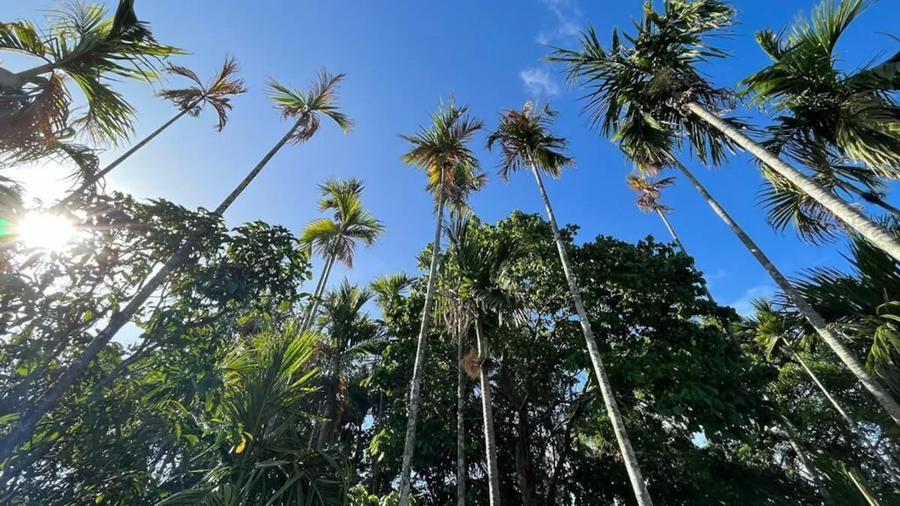 Green Breeze Resort,,2 star