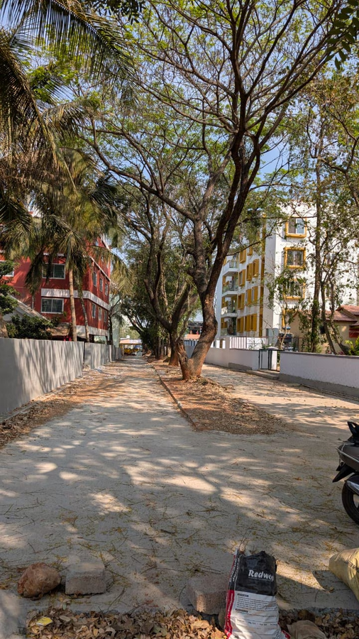 aranyeh the people tree resort