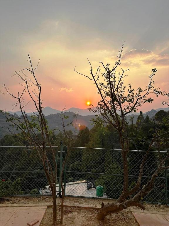 adrushya estate luxury suites mukteshwar