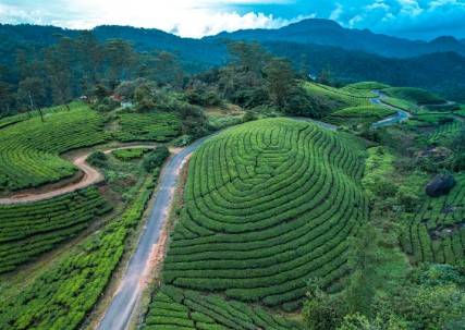 Viriparai British Tea Bungalow Munnar By Voye Homes,,3 star