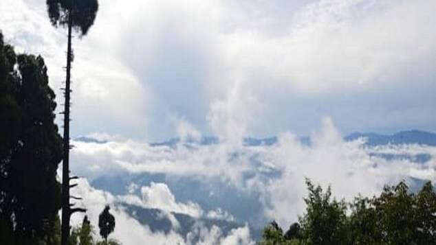 Silent Wood Homestay,,1 star