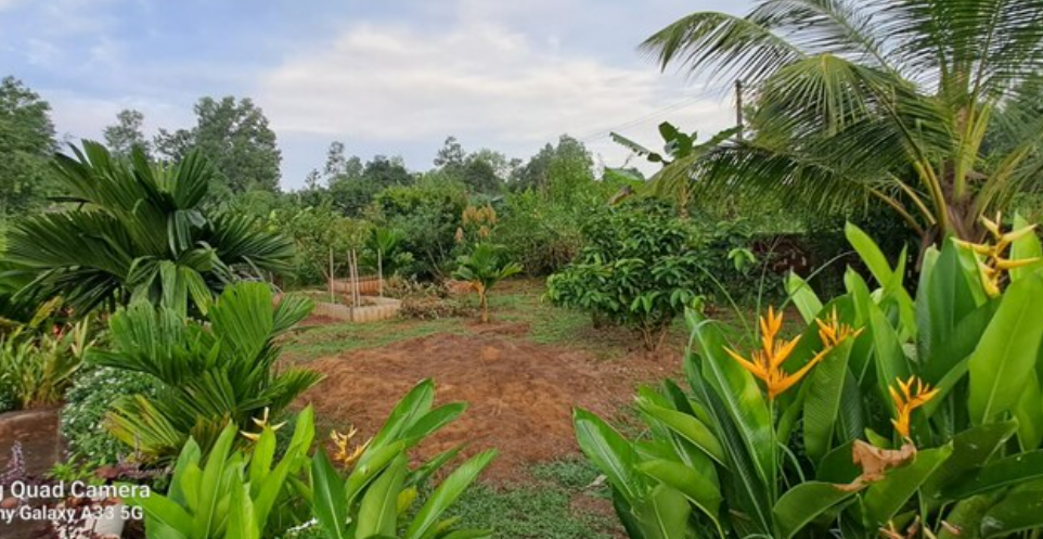 udupi