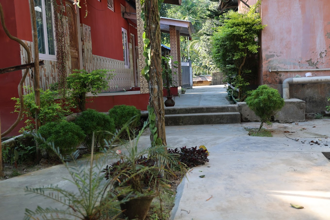 boras home stay kaziranga