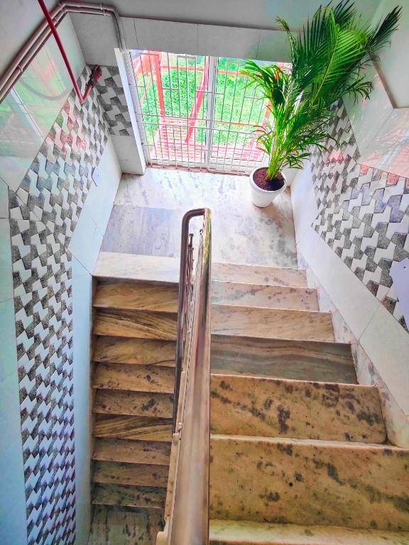 488 The Nook,Kalinganagar,3 star