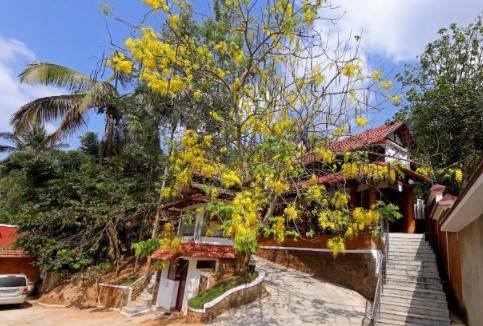 Dazzle Edakkal Village Resort,,3 star