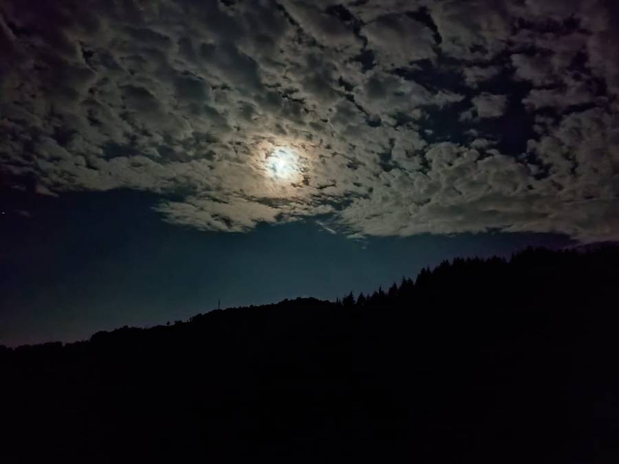 Hill Top Eco Resort,Chakrata Road,3 star