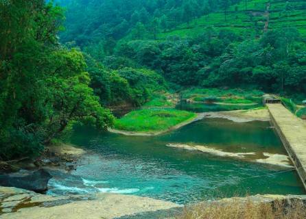 Viriparai British Tea Bungalow Munnar By Voye Homes,,3 star