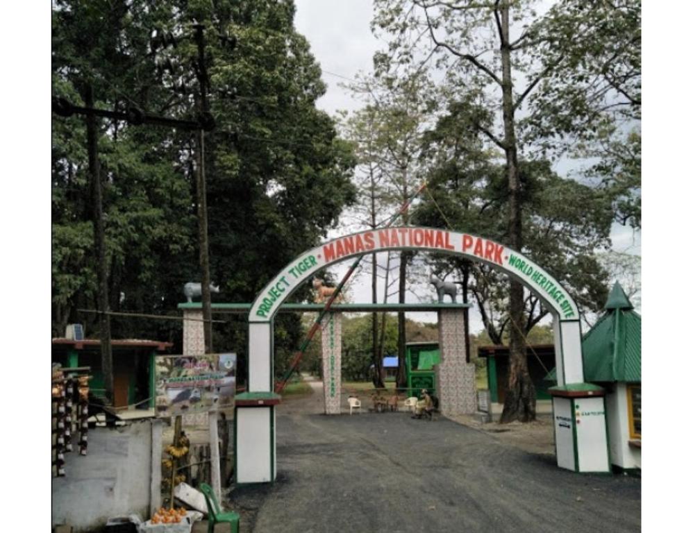 Manas View Jungle Resort,Barpeta,2 star