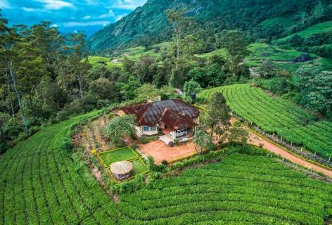 Viriparai British Tea Bungalow Munnar By Voye Homes