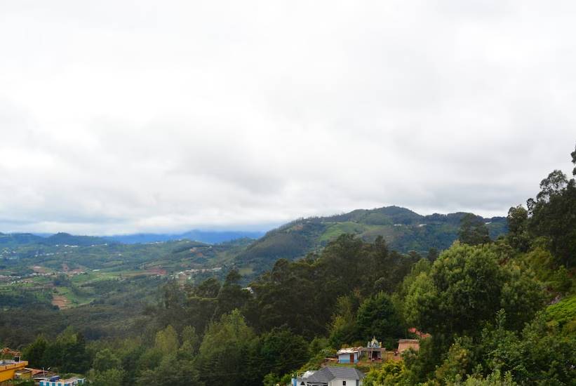 Vanam Holidays,Ooty,Tamil Nadu,2 star