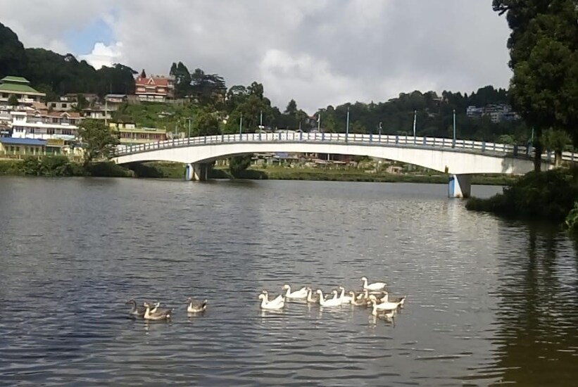 mount queens hill resort and spa