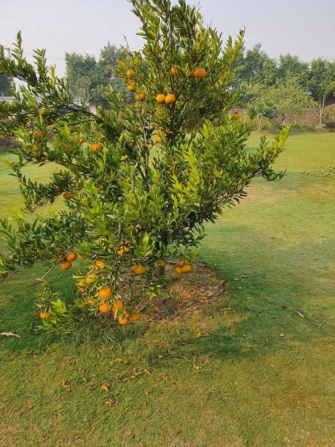 Vacationbuddy Charming Farmstay,Sohna Road,3 star