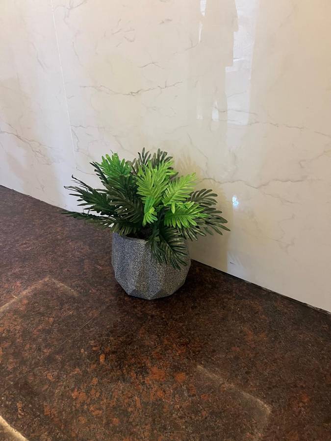 hotel sky blue suites