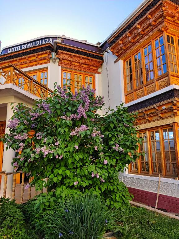 hotel royal plaza