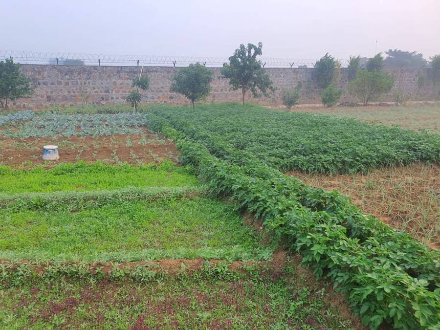 Vacationbuddy Charming Farmstay,Sohna Road,3 star