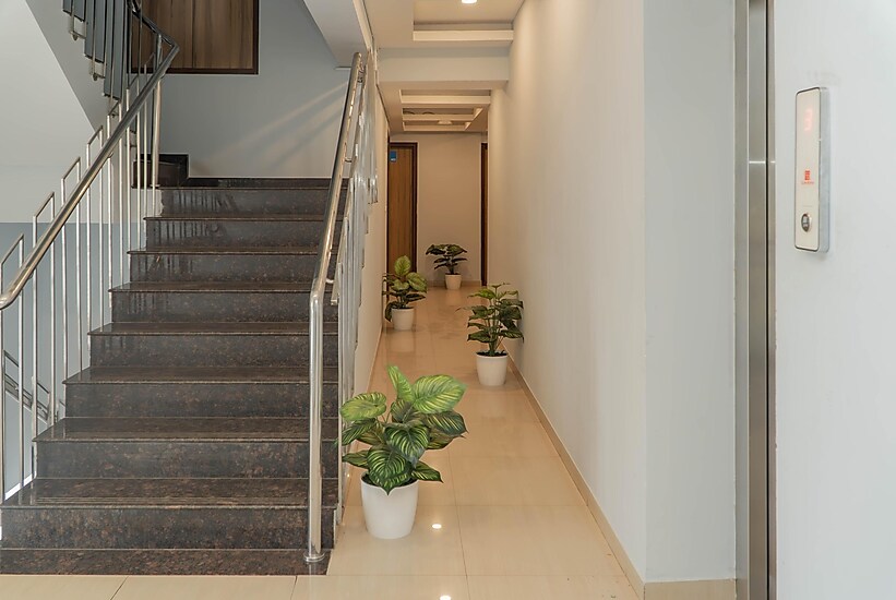 Z Express Paradise,Rmv Extension ,0 star