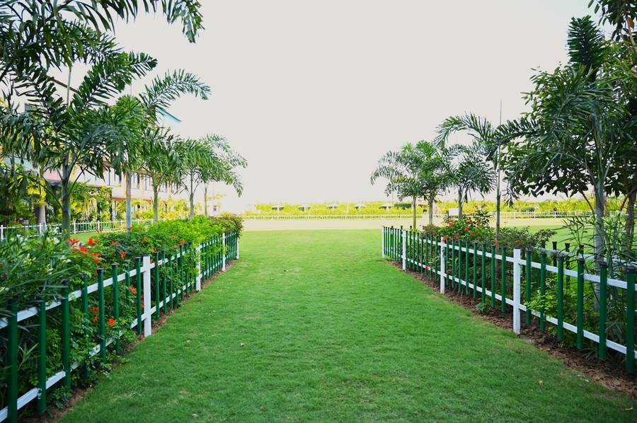 ginger kheda ahmedabad