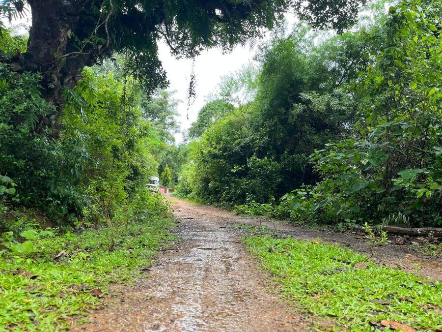 Gavi Homestay,,2 star