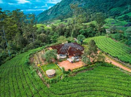 Viriparai British Tea Bungalow Munnar By Voye Homes,,3 star