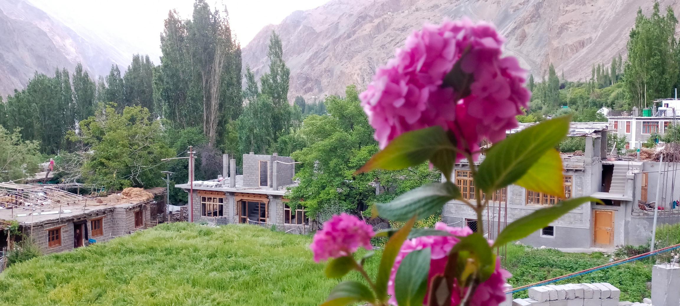 sukoon turtuk homestay