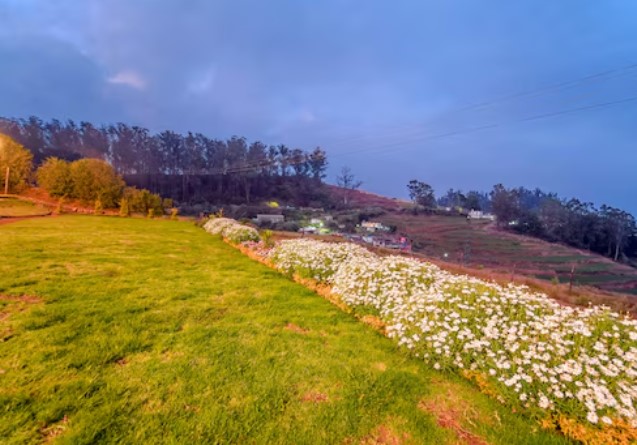 Silent Retreat Ooty Farm Resort By Voye Homes,Ooty,Tamil Nadu,3 star