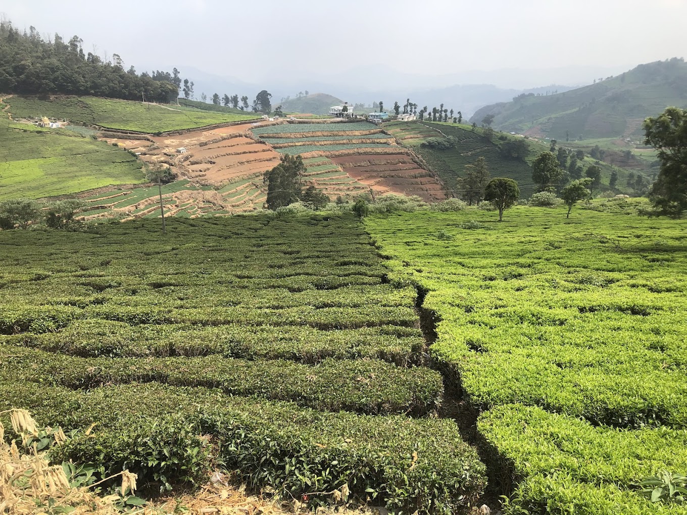 bagaan ooty by alt homes