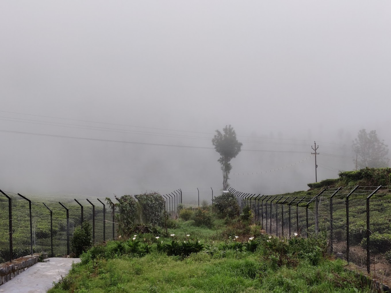 bagaan ooty by alt homes