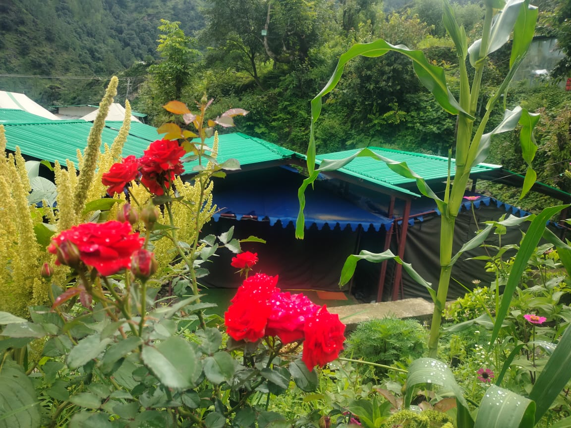 Phulwari Resort,Sitapur Mafi, Chitrakoot,3 star
