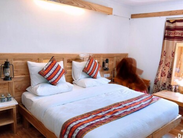 Global Family Resort,Near Leh Palace,3 star