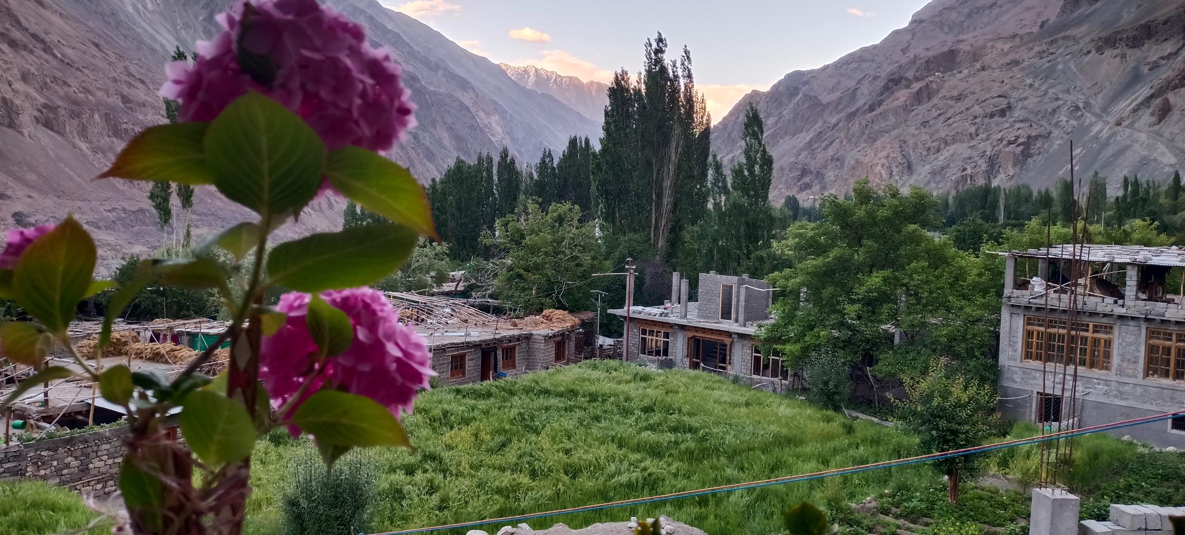 sukoon turtuk homestay