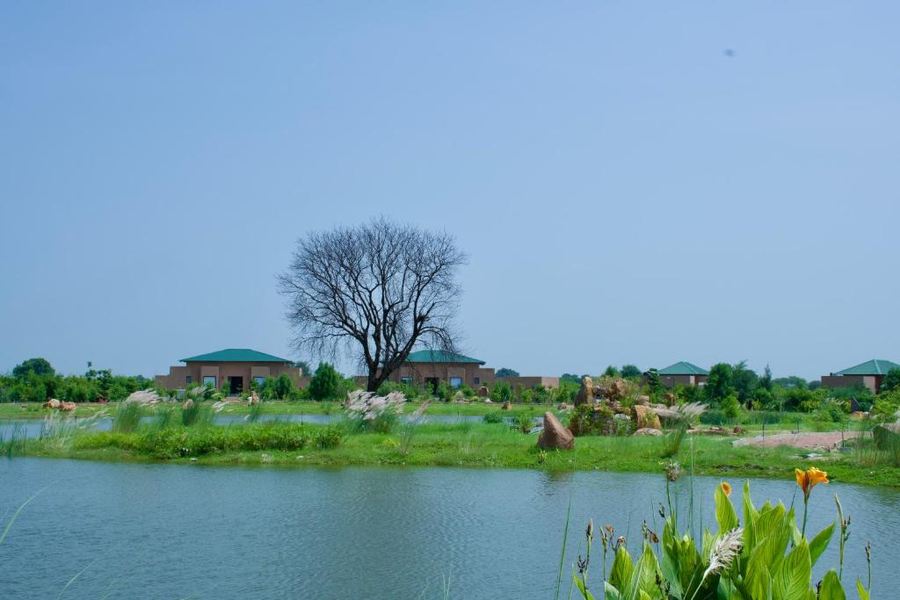 brij tara ranthambore a luxury wildlife resort