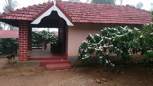 Coffee County Homestay,Gonikoppa,3 star