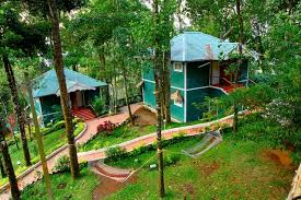 Blue Bells Valley Resort Munnar