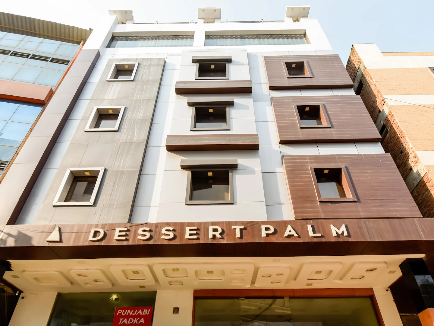 dessert palm