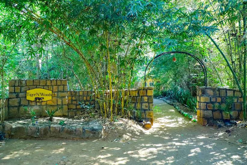 tiger n woods resort