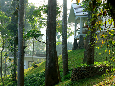 amaana plantation resort