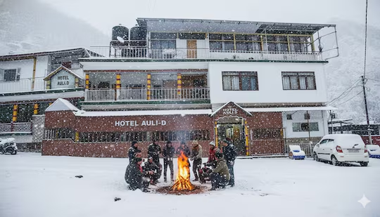 Hotel Auli D - Hotel In Joshimath,Joshimath,3 star