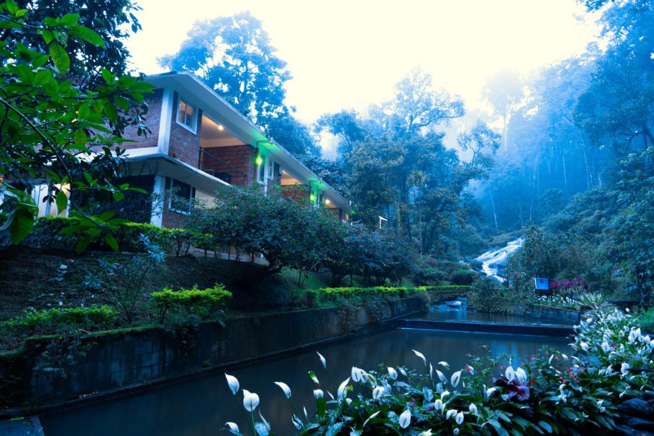 Falling Waters Munnar