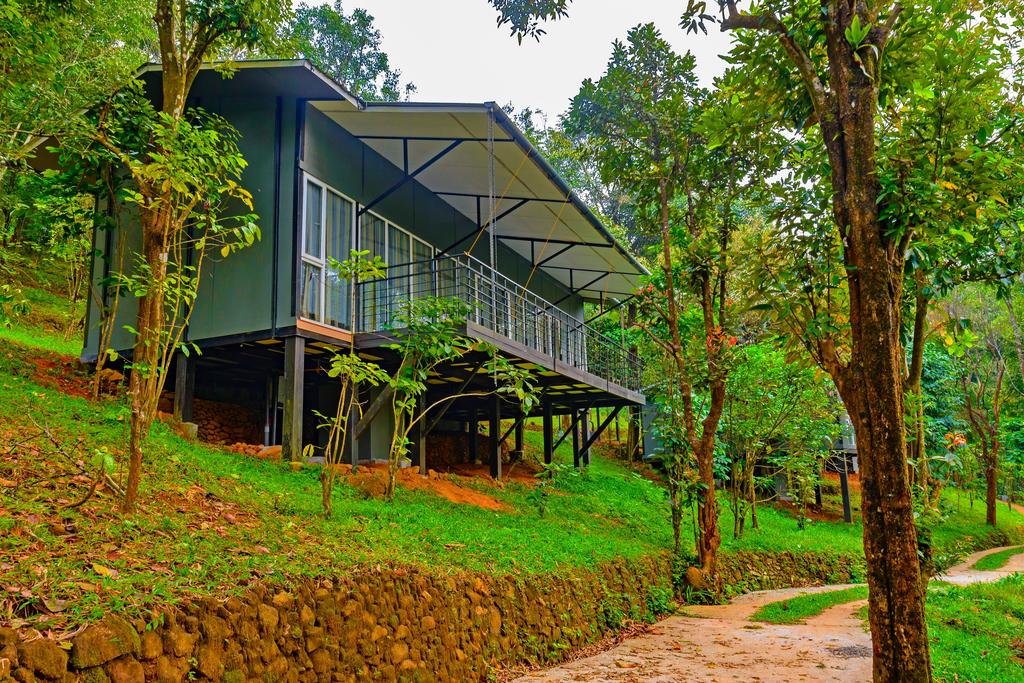 wayanad wild rainforest lodge by cgh earth