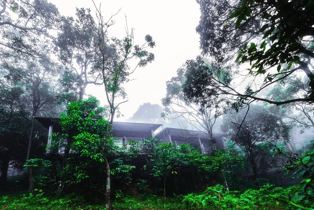 Wayanad Wild - A Cgh Earth Experience,Kunnathidavaka,4 star