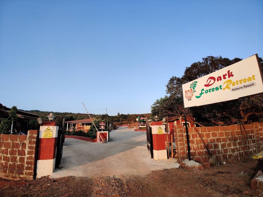 Dark Forest Retreat Amboli