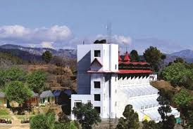 Jungle Livinn,Dharampur>>Chail,3 star