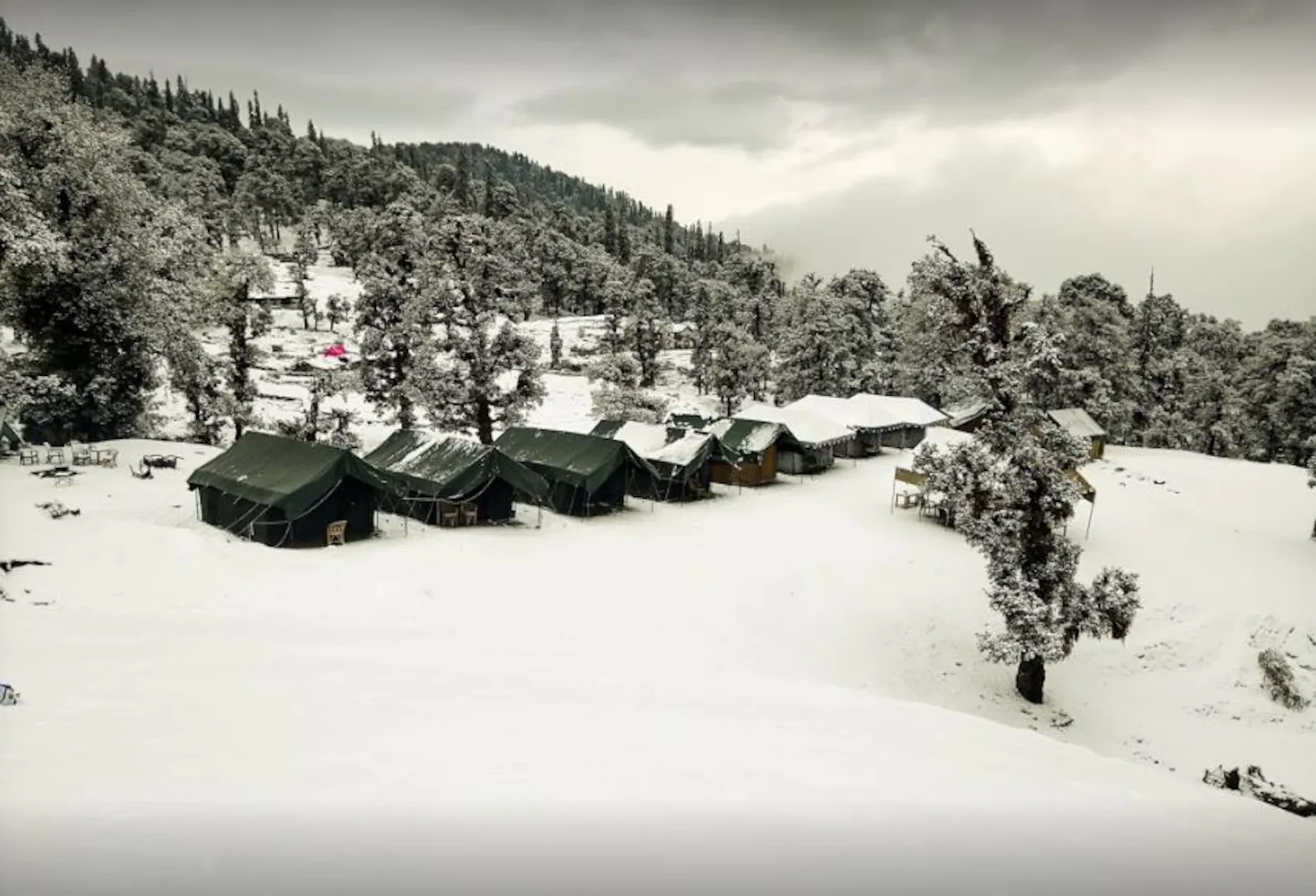 Camping At Himalayan Stag Camps,Himalayanstag Camp Near Hanuman Temple, Baniyakund Tungnath Ukhimath-Gopeshwar, Road, Chopta, Uttarakhand 246419,2 star